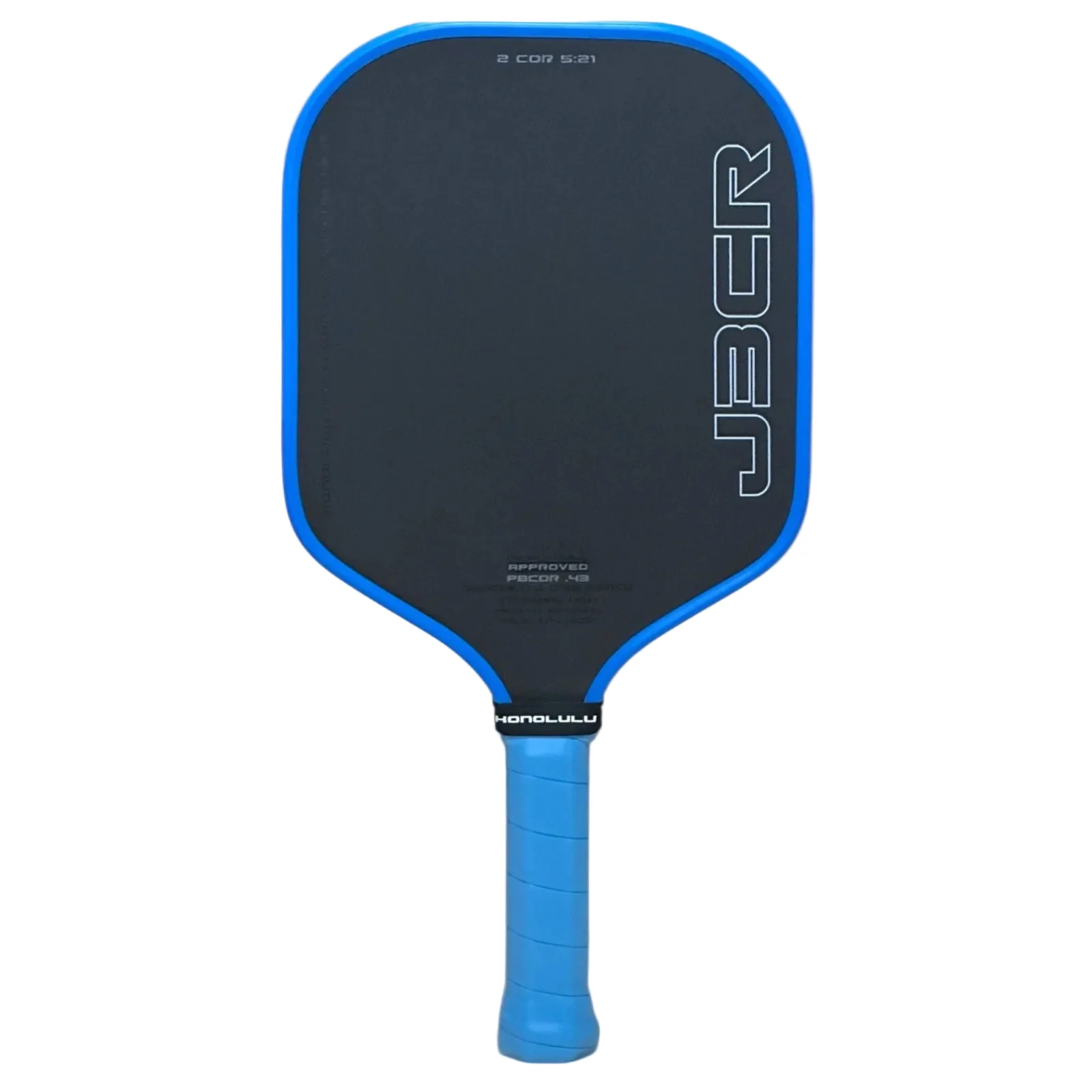 SWORD & SHIELD CONTROL PADDLES